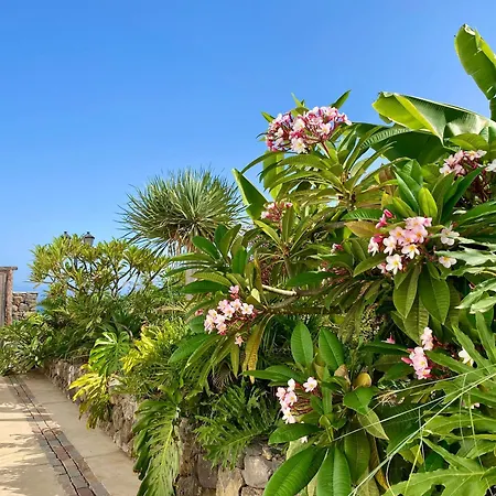 Casa Lava Luminosa Y Con Magnificas Vistas Holiday home La Orotava
